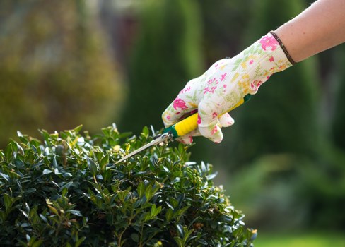 Gardeners Hampton maintaining a beautiful outdoor space