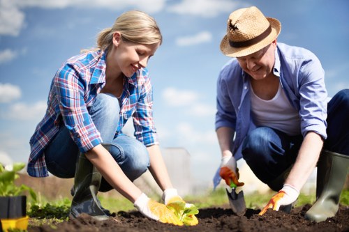 Garden maintenance in Hampton with tidy lawn and trimmed shrubs