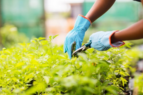 Annual review and compliance section for Gardeners Hampton