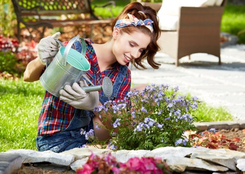 Accessibility statement introduction for Gardeners Hampton