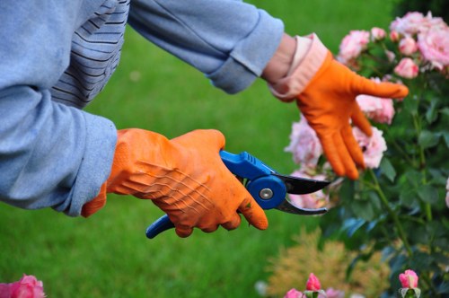 Hampton gardening service improving lawns and borders
