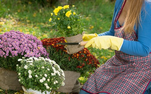 Seasonal garden care in Hampton with pruning and weed control