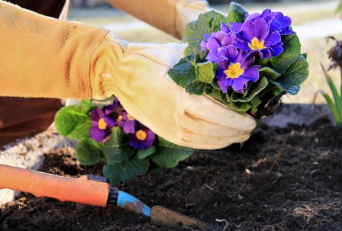 Weed control and border cleanup in a Hampton garden