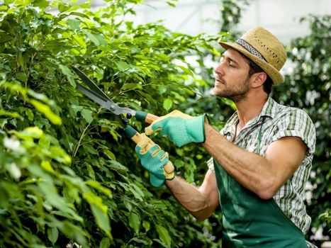 Routine garden maintenance in Hampton for a clean outdoor space