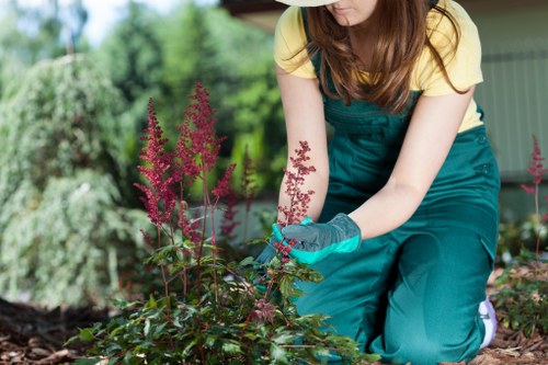 Inclusive browsing experience for local gardeners in Hampton