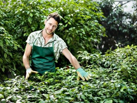 Professional garden clearance service in Hampton