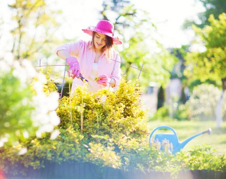 Regular hedge trimming in Hampton for neat outdoor spaces