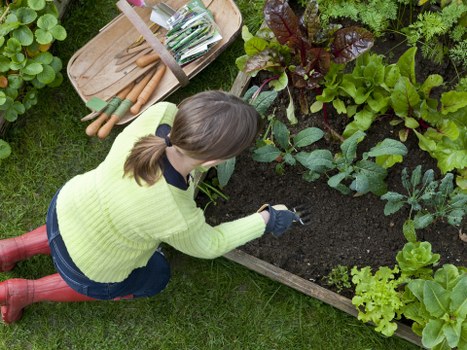 Prepared garden space after clearance in Hampton
