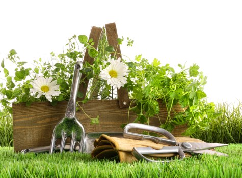 Deck repair and replacement services in Hampton