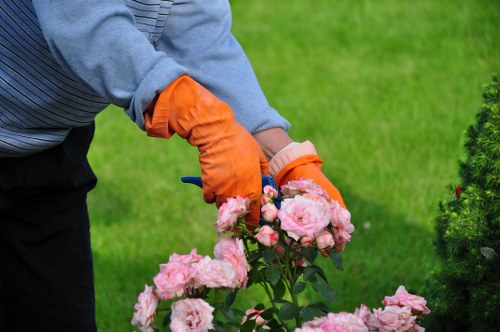 Brambles and weeds removed during Hampton garden clearance