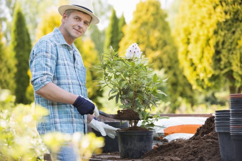 Professional Hampton garden maintenance for healthy flower beds
