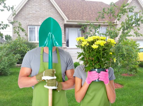 Professional Hampton landscaping services featuring lawn care, shrubs, and hardscaping