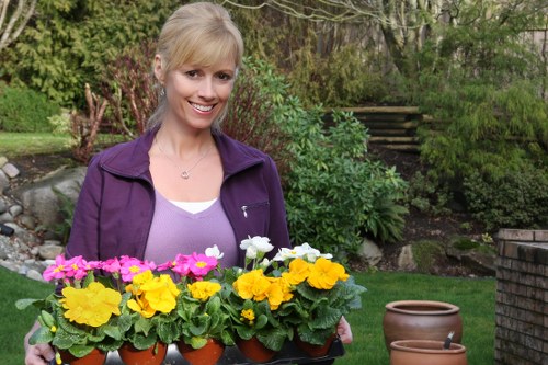 Example garden maintenance jobs for Hampton properties