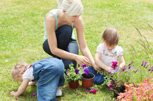A landscaped Hampton garden with layered planting and a neat lawn layout
