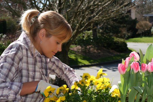 Public liability insurance and garden safety practices for Hampton gardeners
