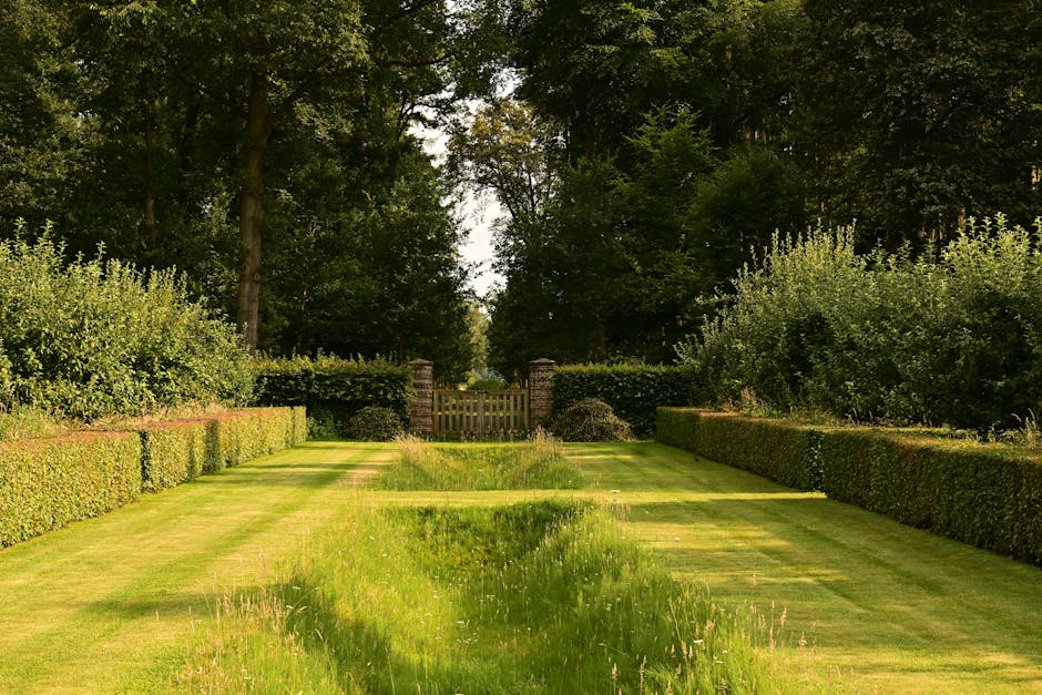 A narrow garden pathway made of compacted gravel or concrete runs straight through a landscaped outdoor area, flanked on both sides by neatly trimmed, lush green hedges. The hedges are dense and unifo