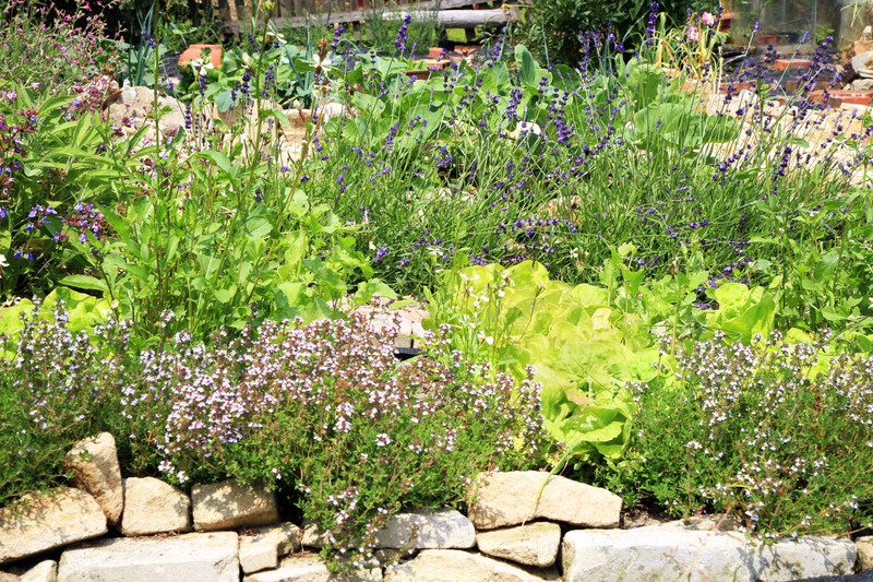 garden patio